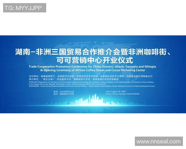 飞盘战术与团队协作:杭州飞盘队的成功运营模式探析 飞盘战术与团队协作:杭州飞盘队的成功运营模式探析
